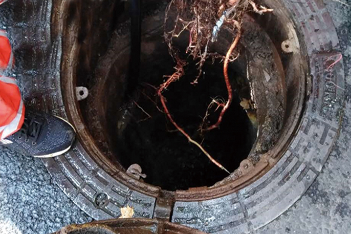 杂多管道预处理